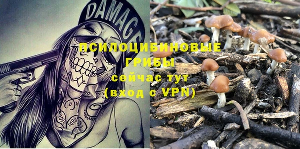 шишки Нефтегорск