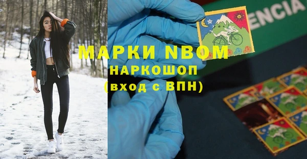 молекула духа Надым