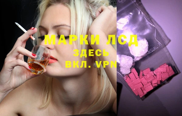 шишки Нефтегорск