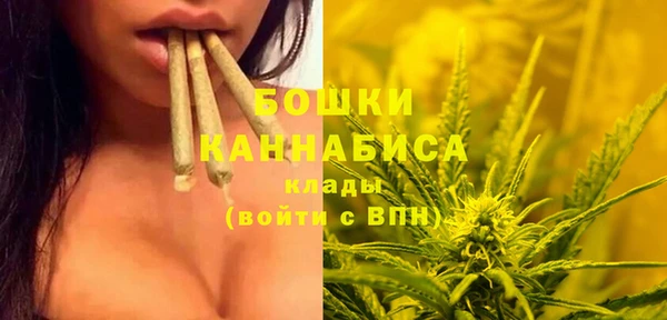 молекула духа Надым