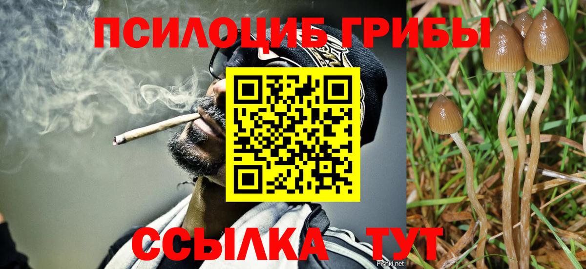 Галлюциногенные грибы MAGIC MUSHROOMS Всеволожск